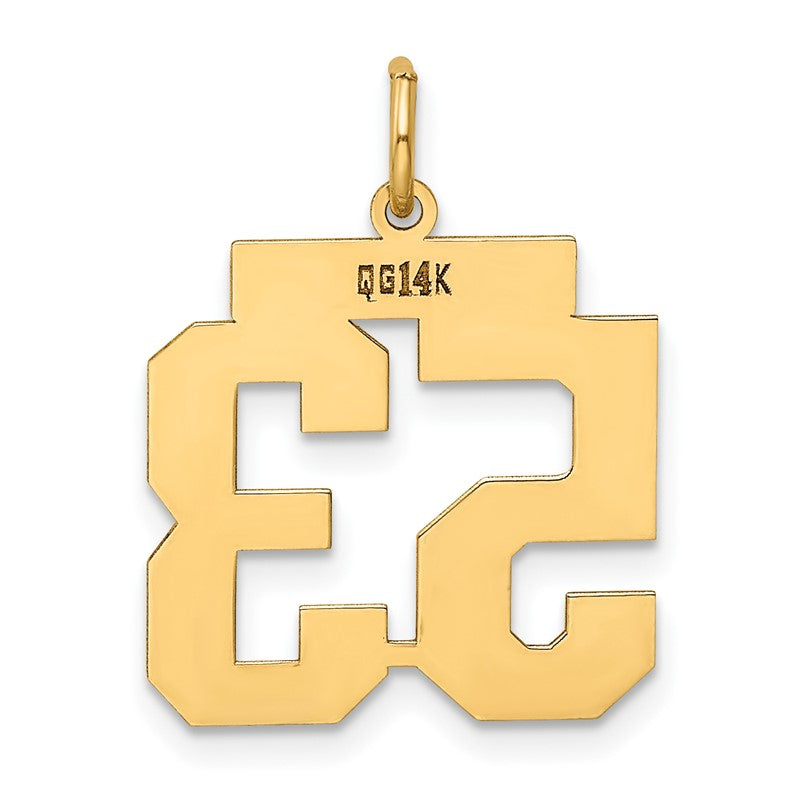 14k Medium Polished Number 53 Charm LM53