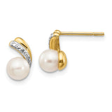 14k 5-6mm White Round Freshwater Cultured Pearl and .01 carat Diamond Post Earrings XE2493AA