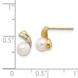 14k 5-6mm White Round Freshwater Cultured Pearl and .01 carat Diamond Post Earrings XE2493AA