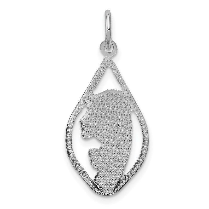 14k White Gold Blessed Virgin Mary Charm K387