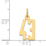 14k Small Elongated Number 43 Charm LES43