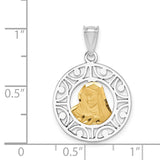 14K Two-tone Brushed and Polished Diamond-cut Virgin Mary Pendant D4678