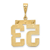 14k Medium Polished Number 53 Charm MP53