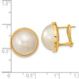 14k 14-15mm White Mabe Saltwater Cultured Pearl Omega Back Earrings XMP98