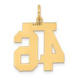 14k Medium Satin Number 46 Charm LSM46
