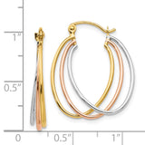 14K Tri Color Hoop Earrings TF460
