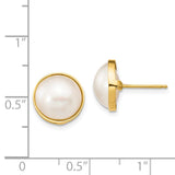 14K 10-11mm White Mabe Saltwater Cultured Pearl Post Earrings XF685E