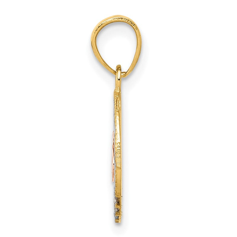 14k Two-tone with White Rhodium CZ 15 in Circle Pendant K5884