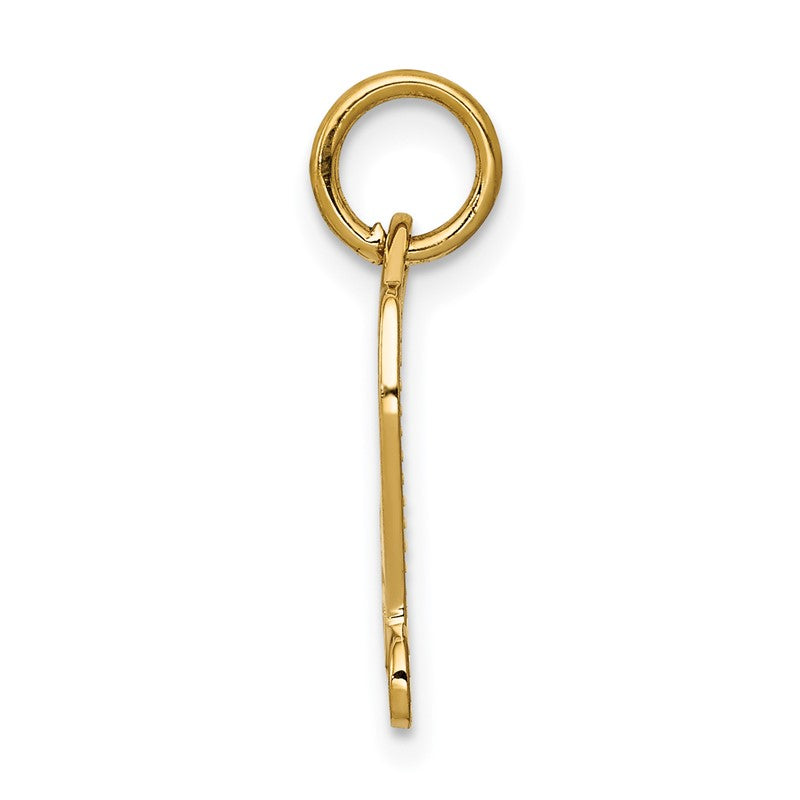14k DIPLOMA Engravable Charm C437