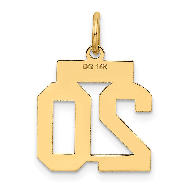 14k Small Satin Number 20 Charm LSS20