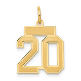 14k Small Satin Number 20 Charm LSS20