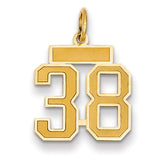 14k Small Satin Number 38 Charm LSS38