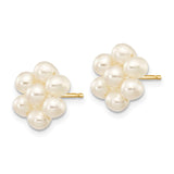 14k 3-4mm White Egg-shape Freshwater Cultured Pearl Flower Post Earrings XF298E