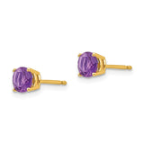 14k 5mm Round Amethyst Post Earrings XE72AM