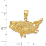 14k Polished Open-Backed Bass Fish Pendant C2574