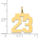 14k Medium Polished Number 23 Charm LM23