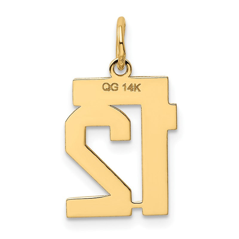 14k Small Polished Number 12 Charm LS12