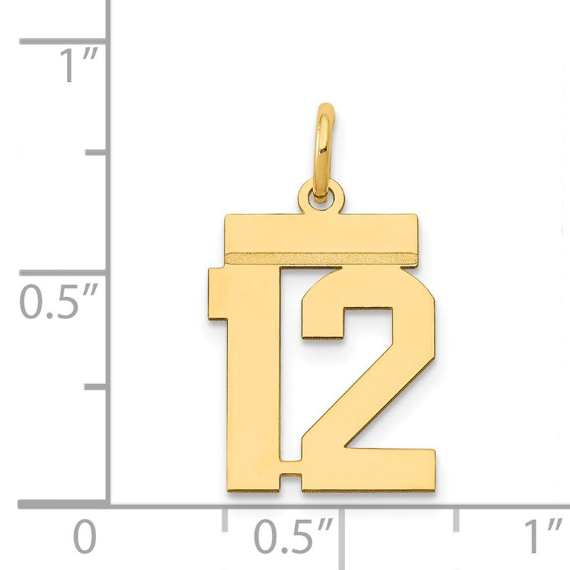 14k Small Polished Number 12 Charm LS12