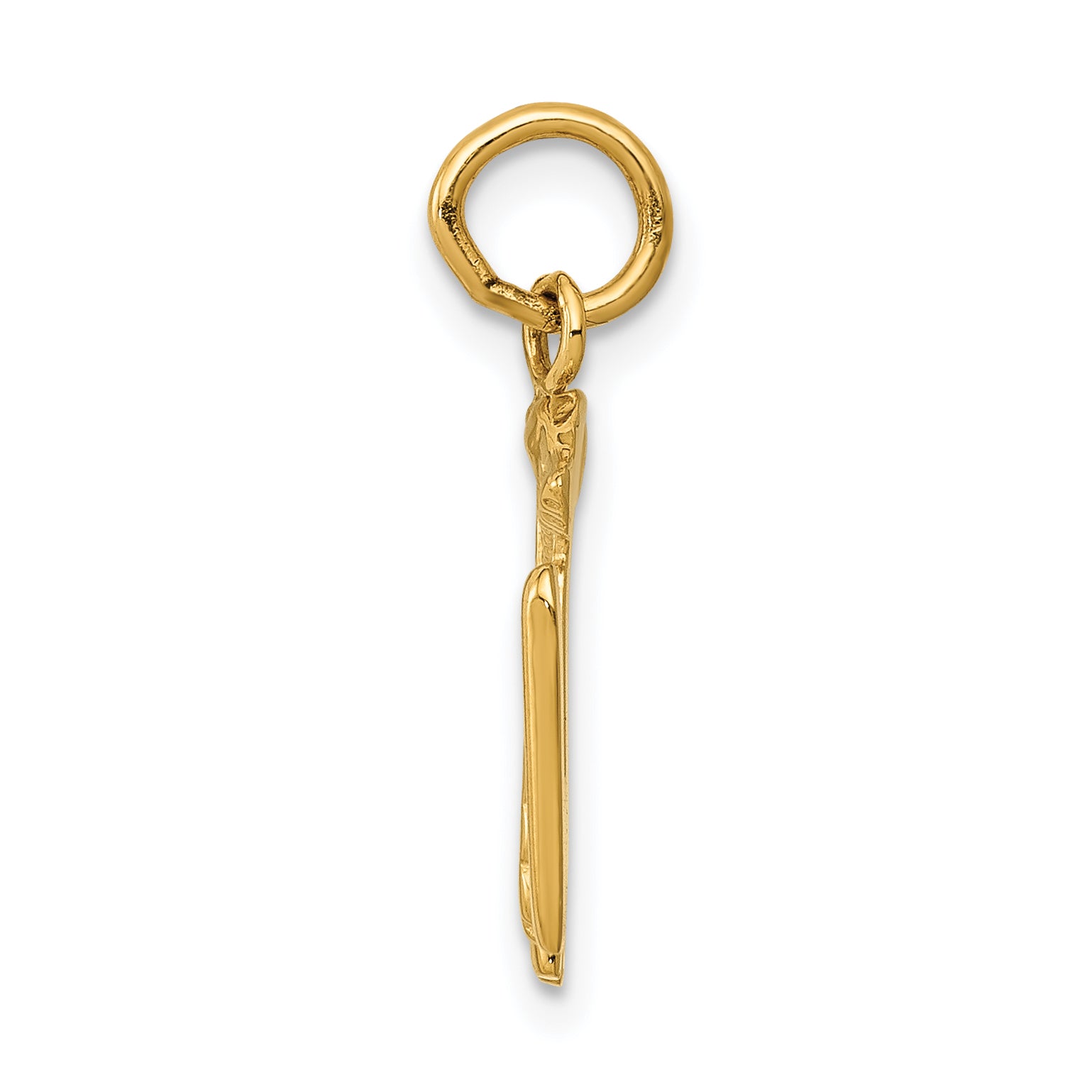 14k RN Registered Nurse Charm A0390