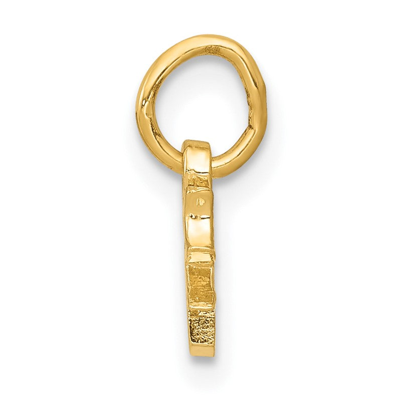 14k Chinese Symbol Good Luck Charm K825