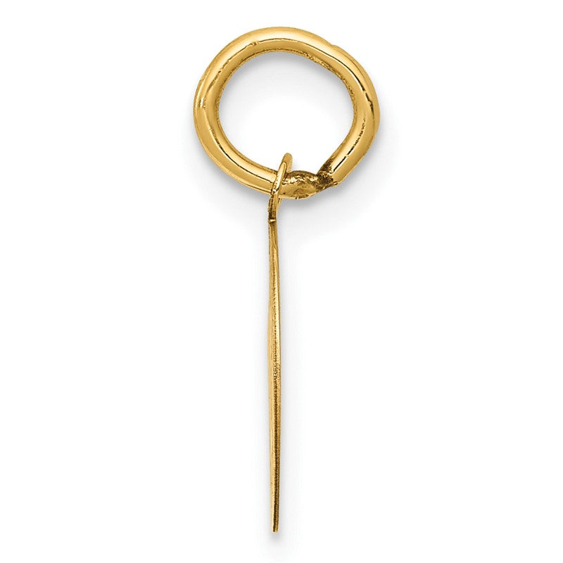 14k Polished and Satin Solid HOLY COMMUNION Round Disc Charm XAC710