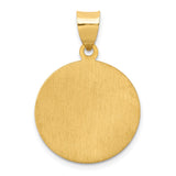 14k Polished and Satin Hollow St Luke Medal Round Pendant XR1355