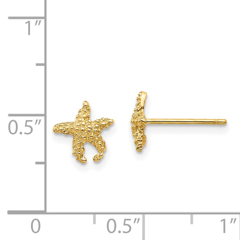 14K Polished and Textured Starfish Post Earrings TM765