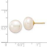 14k 10-11mm White Button Freshwater Cultured Pearl Stud Post Earrings X100BW