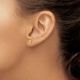 Inverness 14k Dolphin CZ Post Piercing Earrings 850E