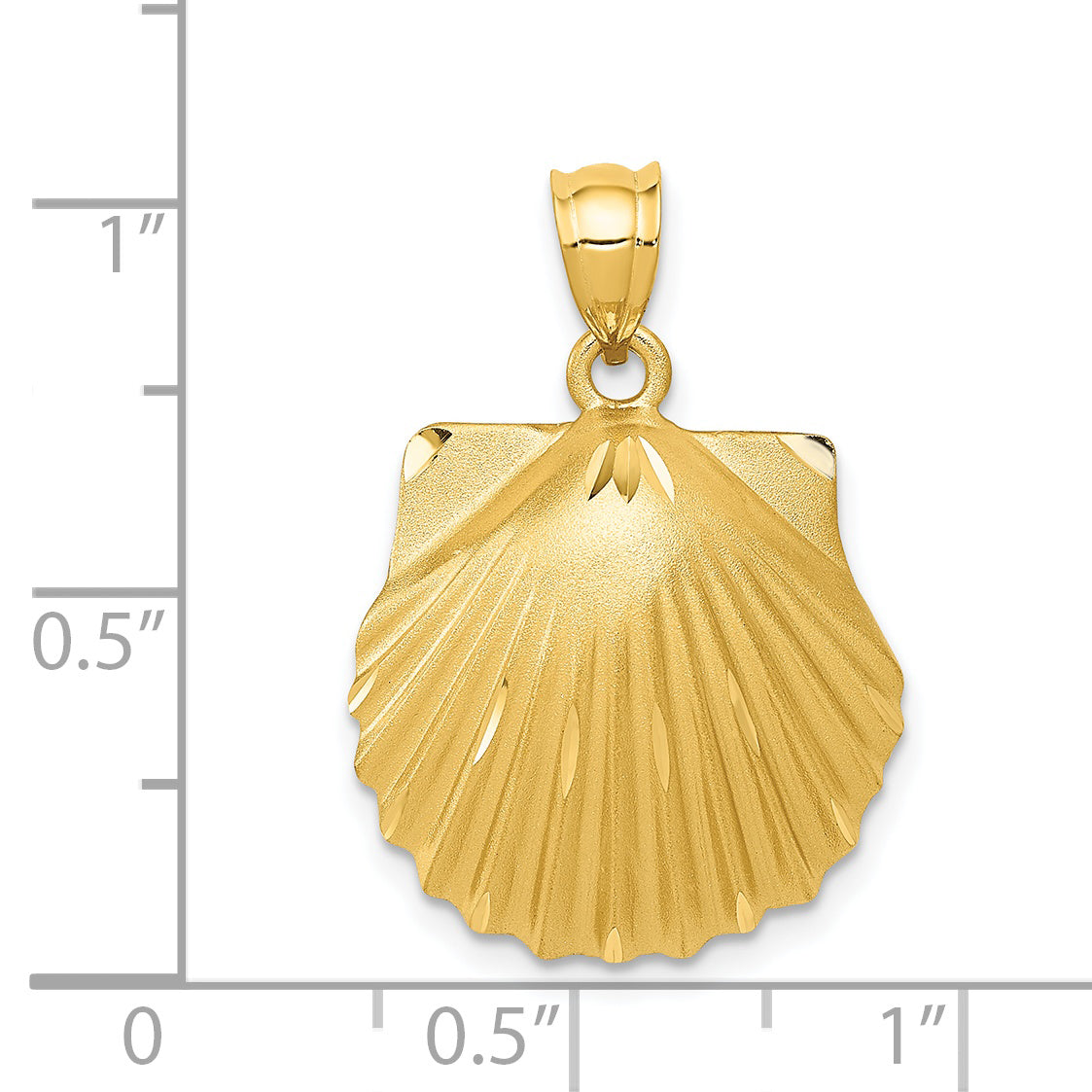 14k Diamond-cut Seashell Pendant C129