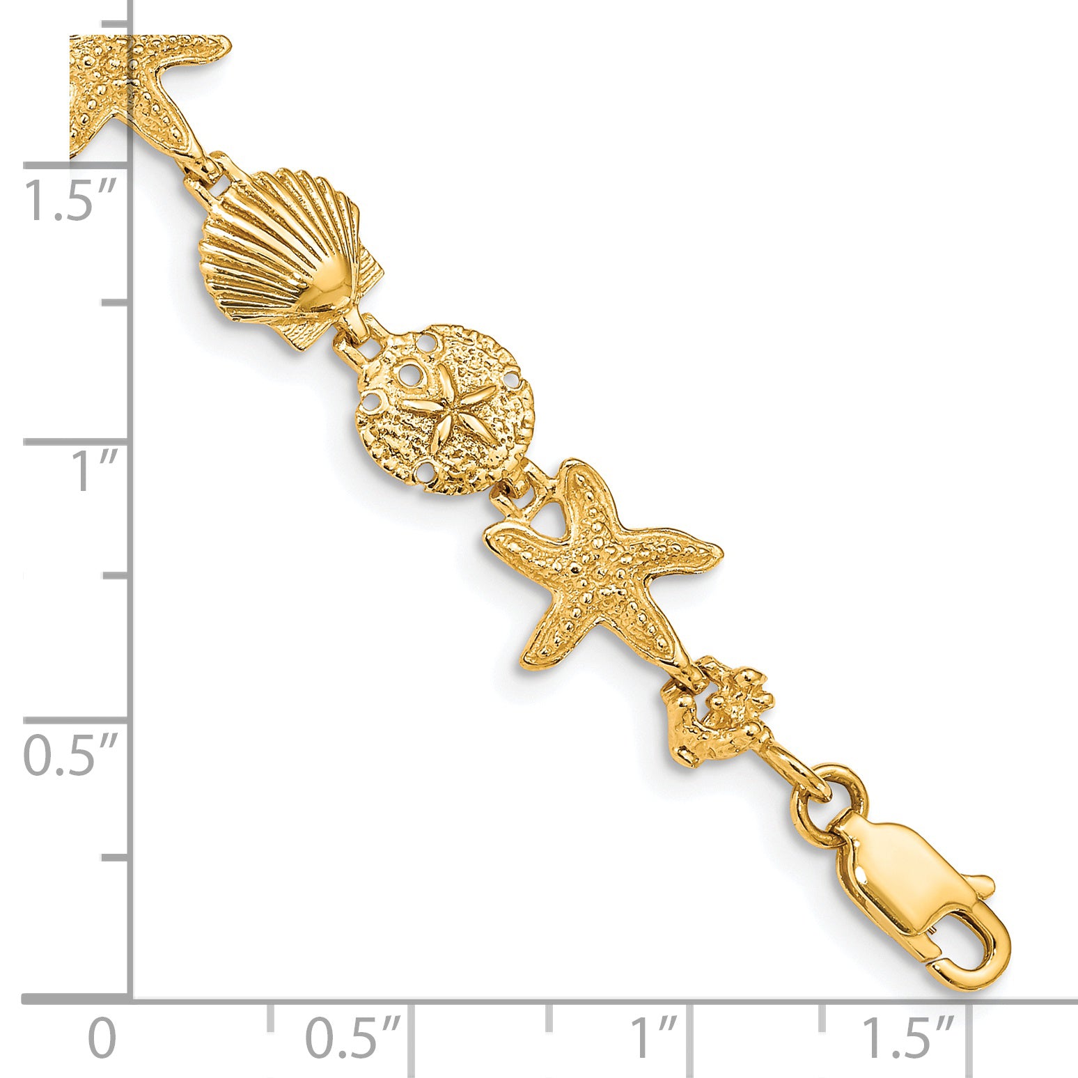14k Polished Assorted Sea Shell Theme 7.5 inch Bracelet FB1142