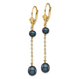 14k 5-7mm Black Rice and Semi-Round Freshwater Cultured Pearl Chain Dangle Leverback Earrings XF721E