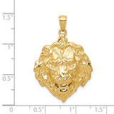 14k Lion Head Charm K4868