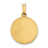 14k Polished and Satin Hollow Our Lady of Fatima Medal Round Pendant XR1253