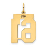 14k Medium Polished Number 61 Charm LM61