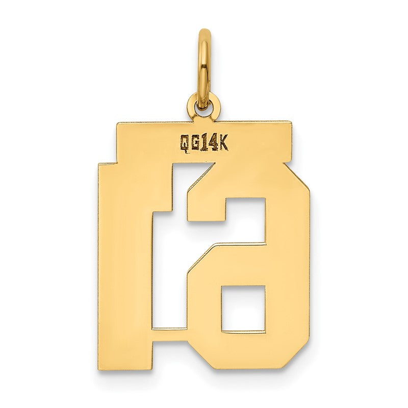 14k Medium Polished Number 61 Charm LM61