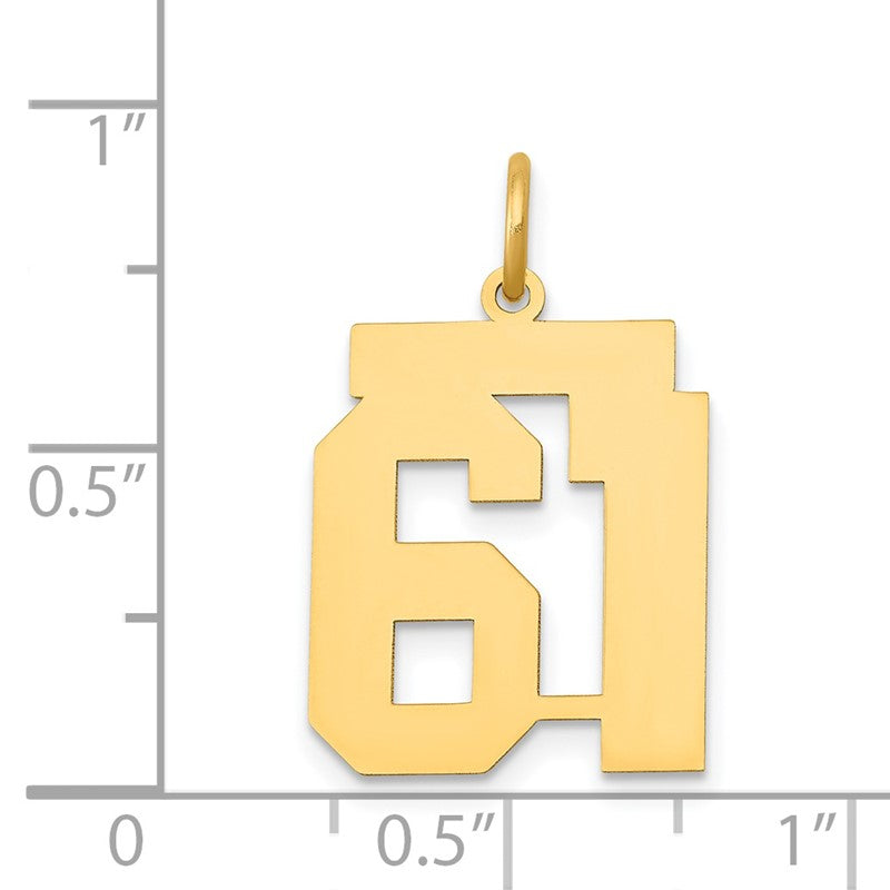14k Medium Polished Number 61 Charm LM61