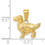 14k Springer Spaniel Dog Pendant C3512