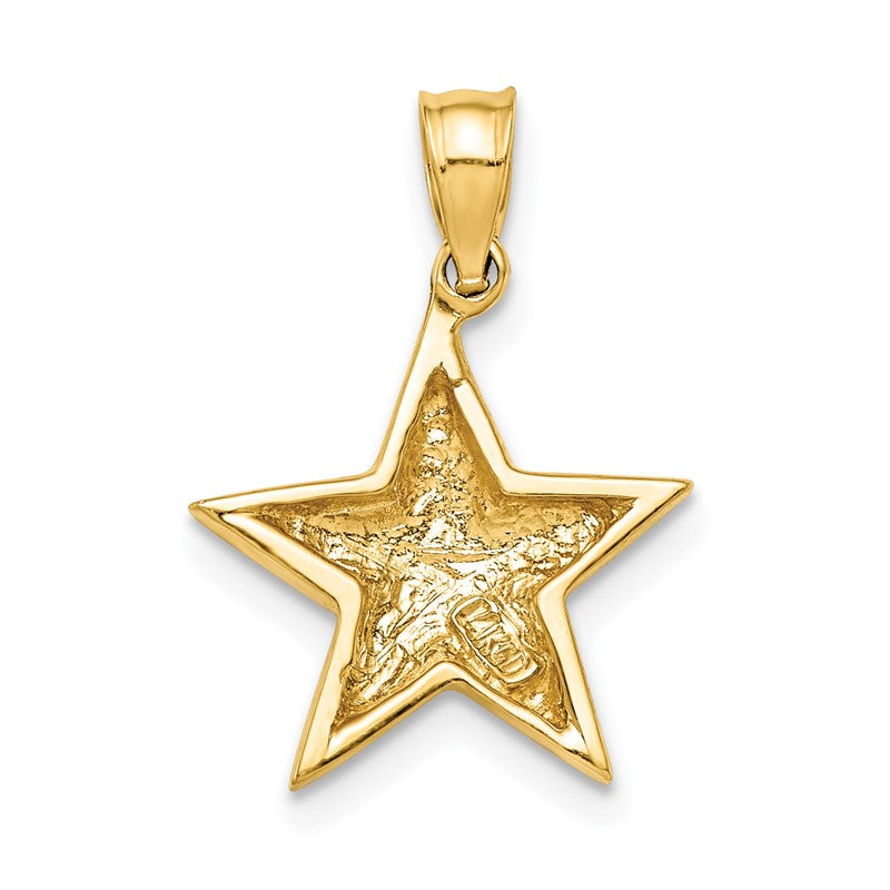 14K Polished Star Pendant D4583
