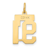 14k Small Satin Number 91 Charm LSS91