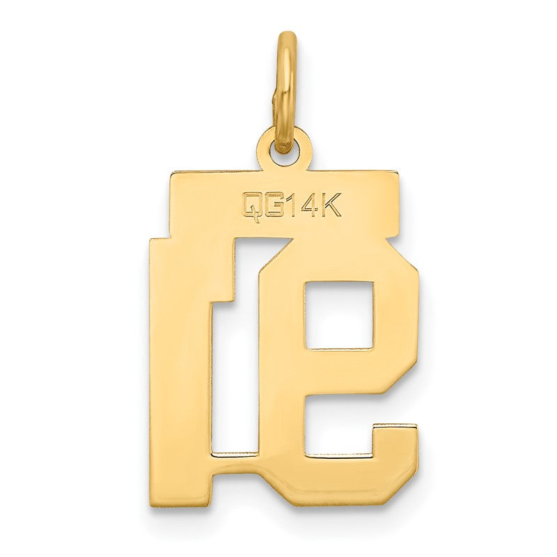 14k Small Satin Number 91 Charm LSS91