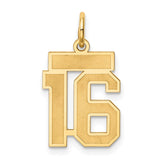 14k Small Satin Number 16 Charm LSS16