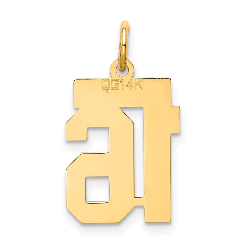 14k Small Satin Number 16 Charm LSS16