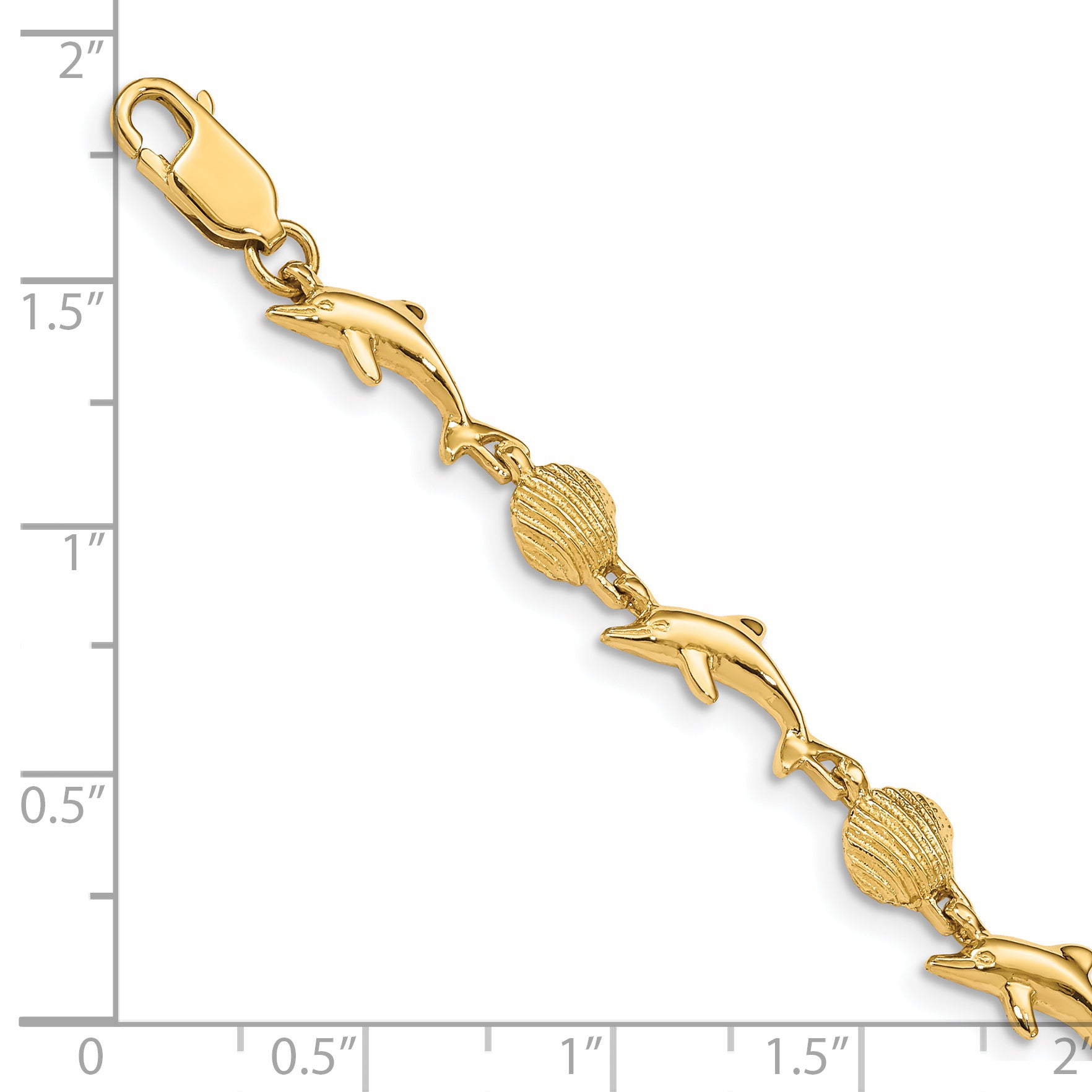 14K Polished Dolphin and Sea Shell 7 inch Bracelet FB1246